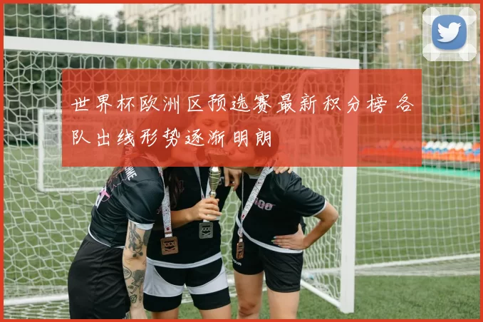 世界杯欧洲区预选赛最新积分榜 各队出线形势逐渐明朗