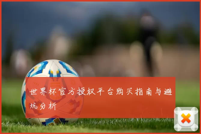 世界杯官方授权平台购买指南与避坑分析