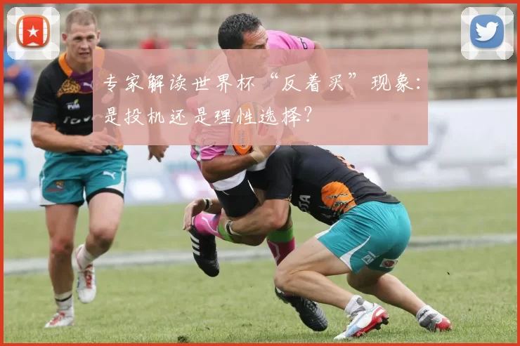 专家解读世界杯“反着买”现象:是投机还是理性选择?