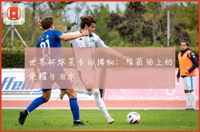 世界杯球星专访揭秘：绿茵场上的荣耀与泪水
