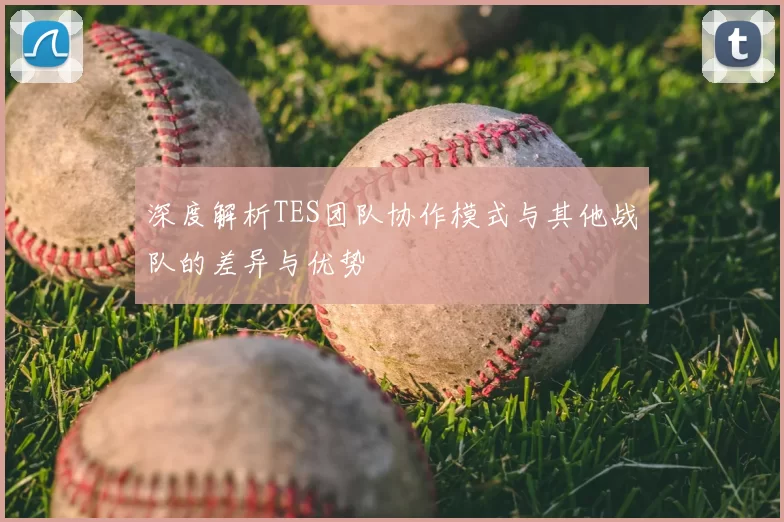 深度解析TES团队协作模式与其他战队的差异与优势