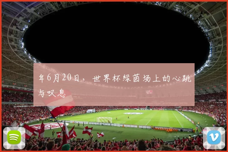 年6月20日,世界杯绿茵场上的心跳与叹息