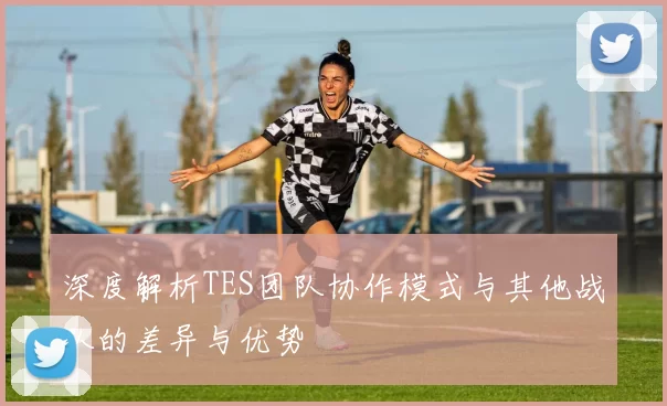 深度解析TES团队协作模式与其他战队的差异与优势