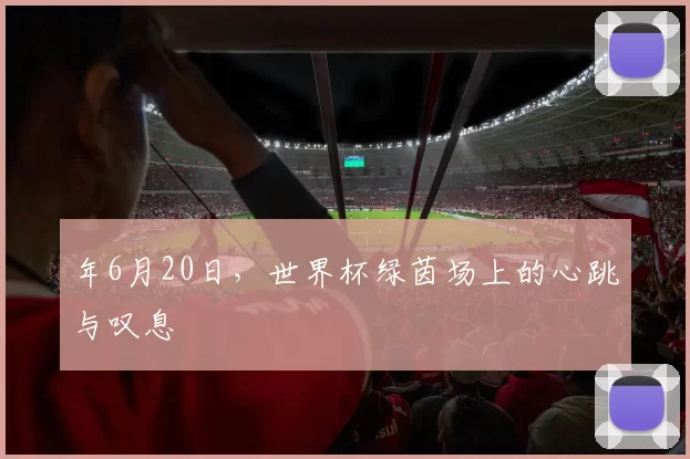 年6月20日,世界杯绿茵场上的心跳与叹息