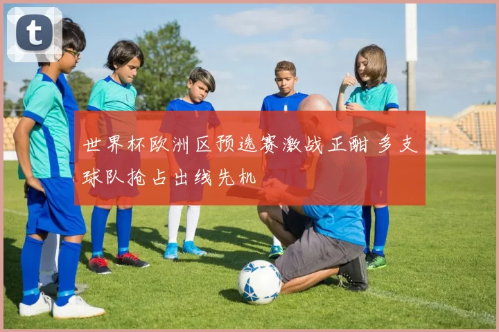 世界杯欧洲区预选赛激战正酣 多支球队抢占出线先机