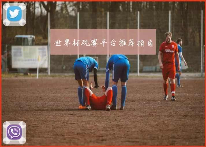 世界杯观赛平台推荐指南