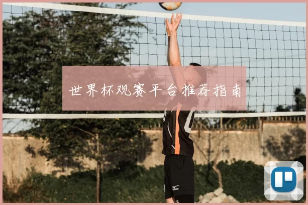 世界杯观赛平台推荐指南
