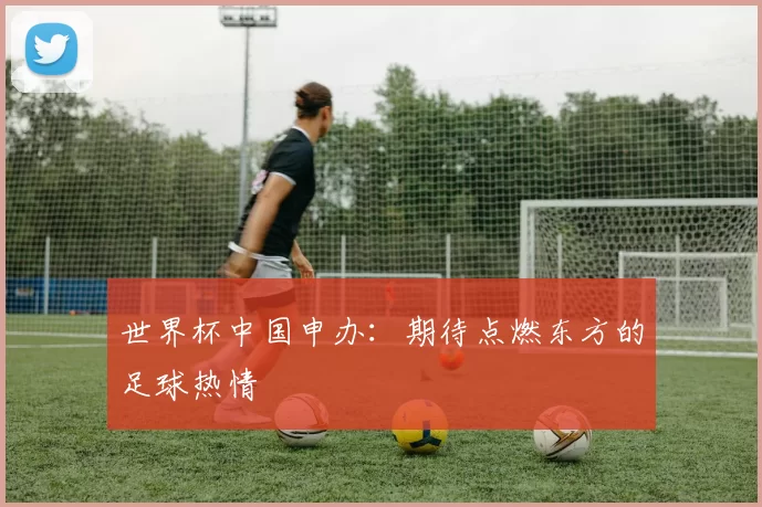 世界杯中国申办:期待点燃东方的足球热情