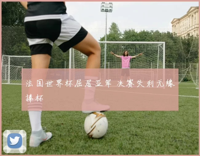 法国世界杯屈居亚军 决赛失利无缘捧杯
