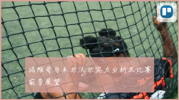 诺维奇与米尔沃尔实力分析及比赛前景展望